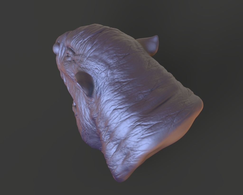 HEAD-F9  high poly sculpt 3D model 3D model_4