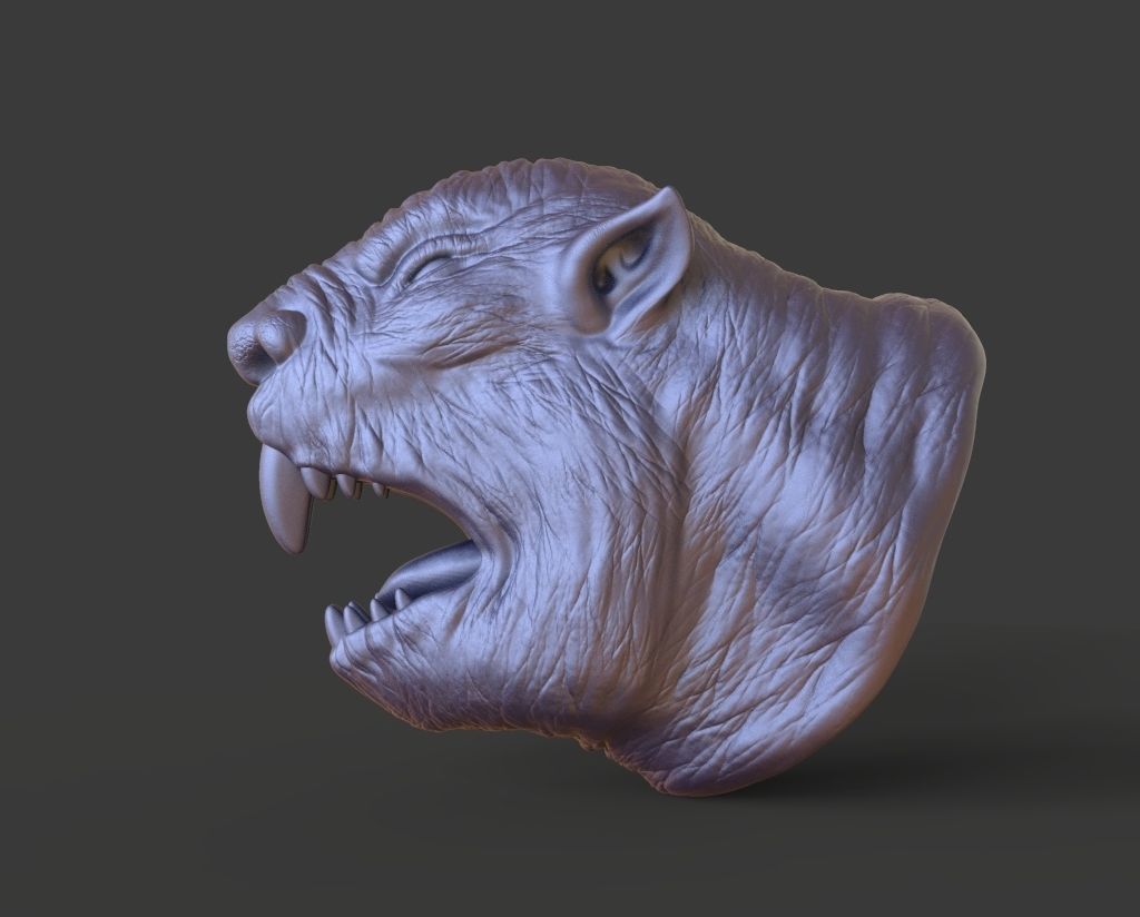 HEAD-F9  high poly sculpt 3D model 3D model_3