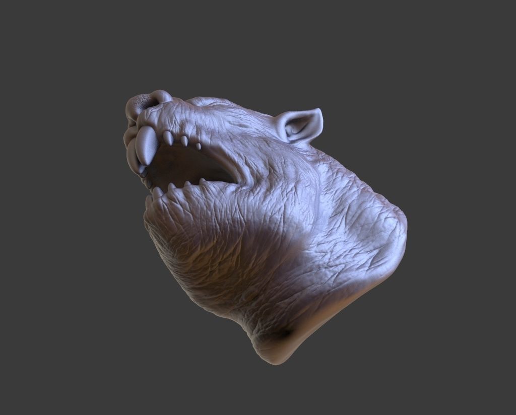 HEAD-F9  high poly sculpt 3D model 3D model_5