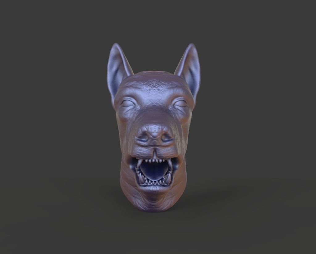 HEAD-F11  high poly sculpt 3D model 3D model_2