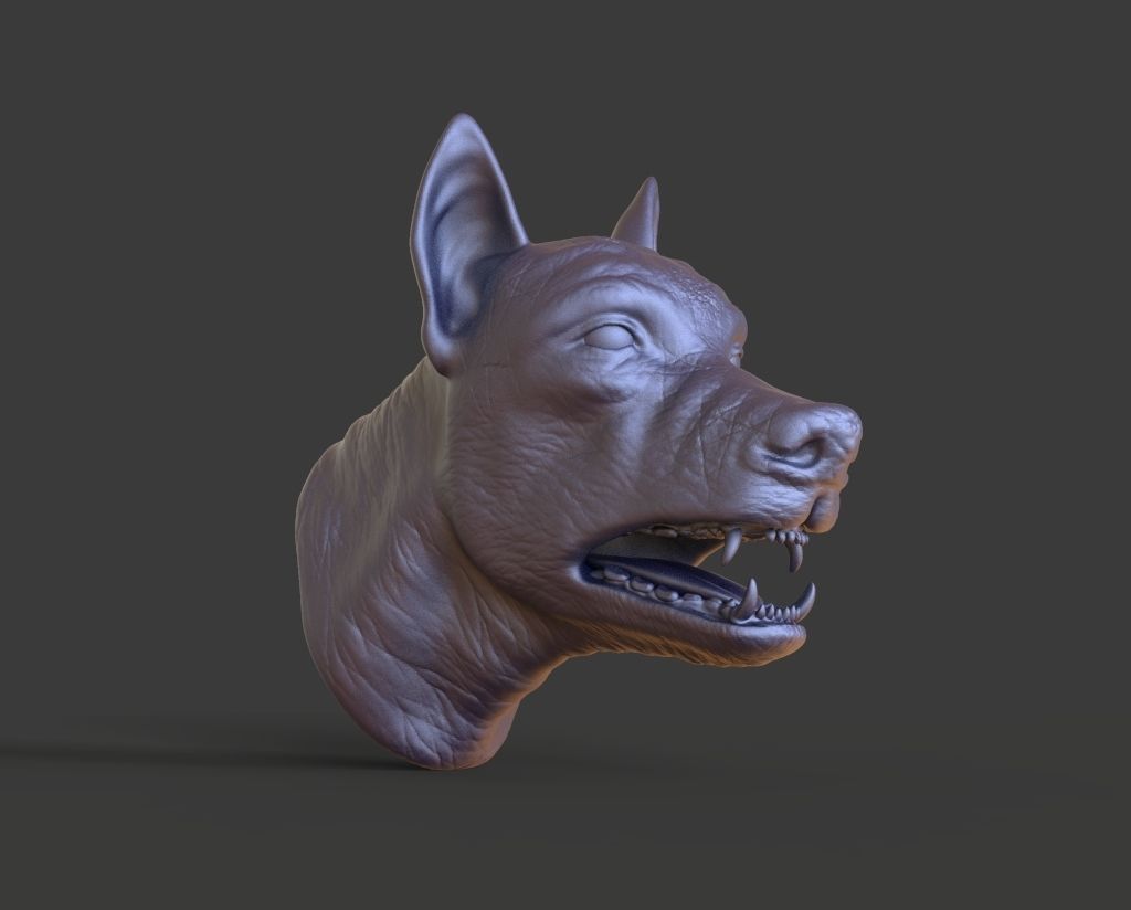 HEAD-F11  high poly sculpt 3D model 3D model_1