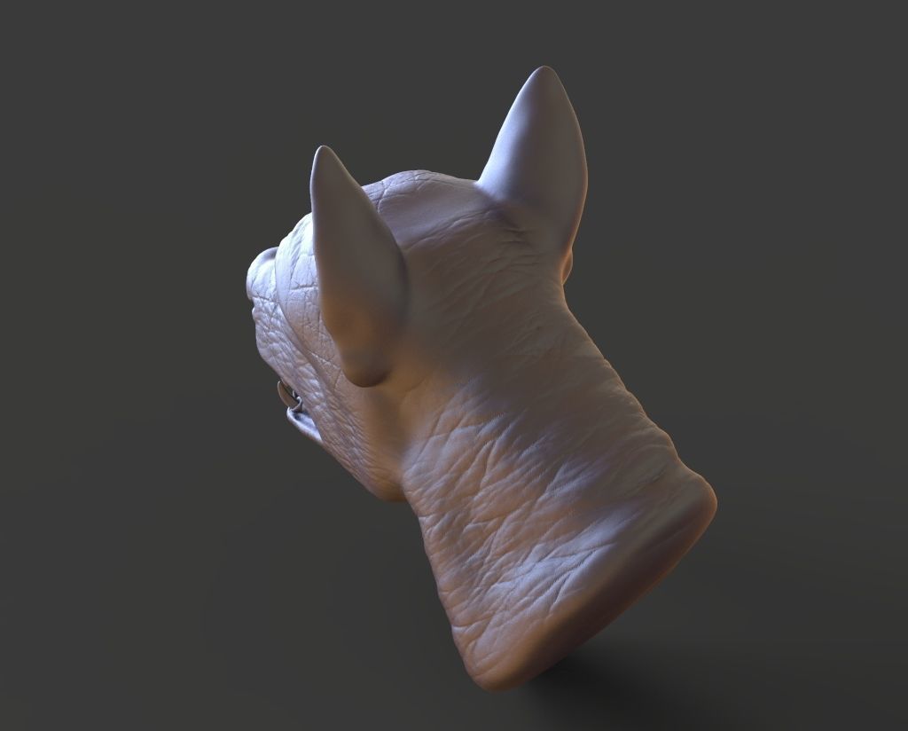 HEAD-F11  high poly sculpt 3D model 3D model_4