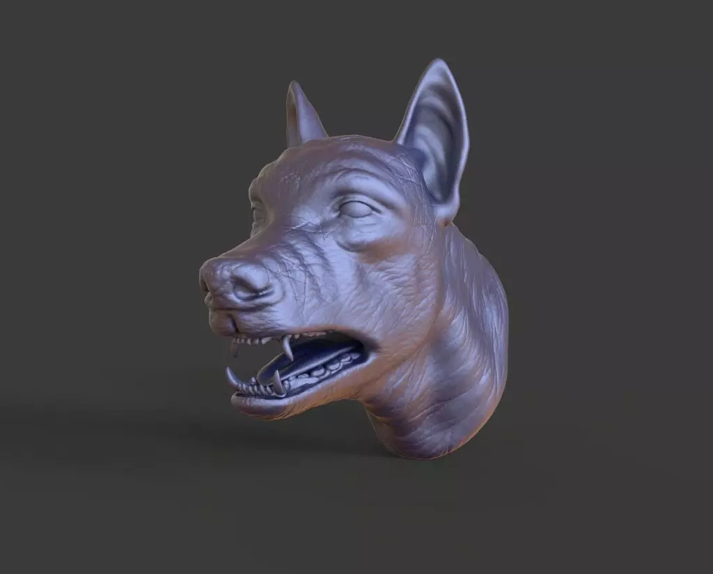 HEAD-F11  high poly sculpt 3D model 3D model_0