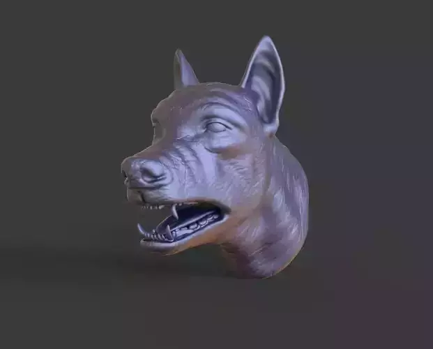 HEAD-F11  high poly sculpt 3D model