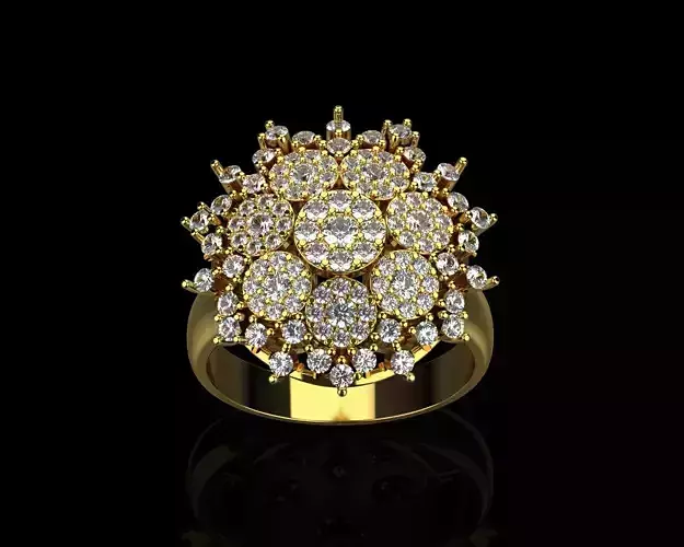 Engagement ring   0149