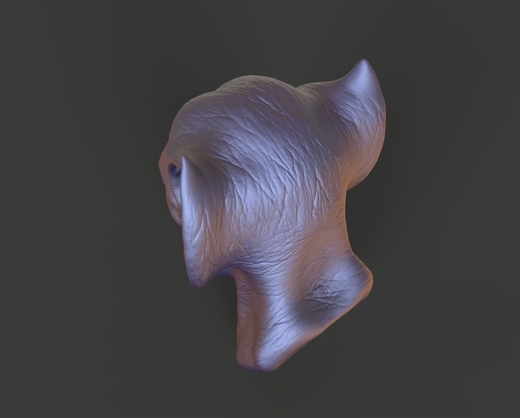 HEAD-F16  high poly sculpt 3D model 3D model_4