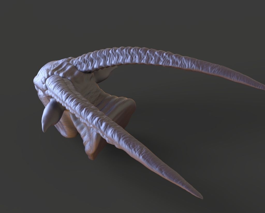 HEAD-F17  high poly sculpt 3D model 3D model_5