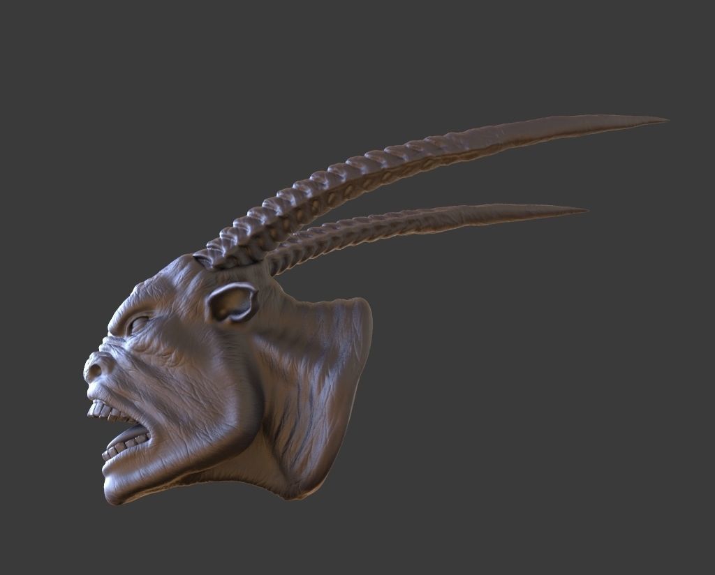 HEAD-F17  high poly sculpt 3D model 3D model_4