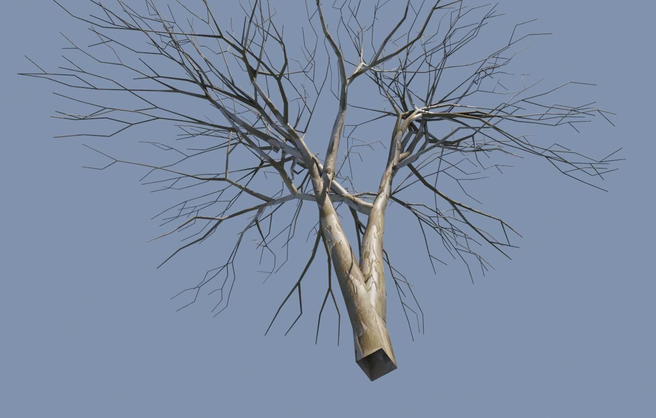 Thin Dry Tree - Arvore Seca Low-poly 3D model_9