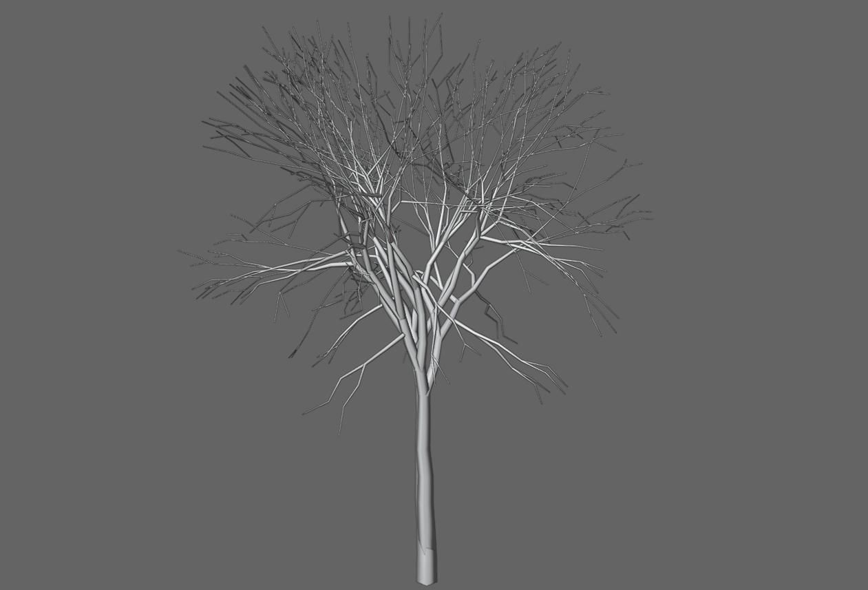 Thin Dry Tree - Arvore Seca Low-poly 3D model_13