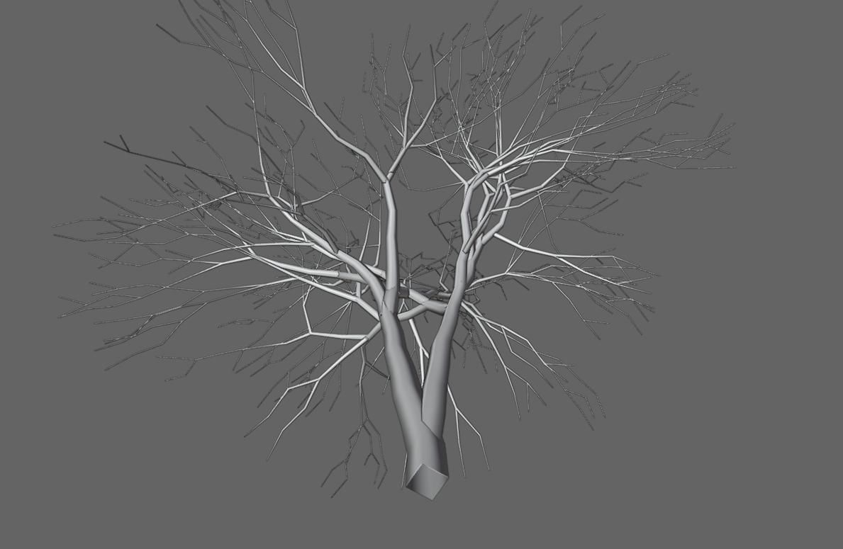 Thin Dry Tree - Arvore Seca Low-poly 3D model_15