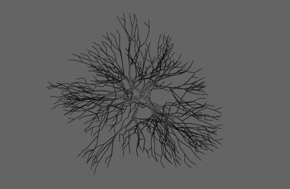 Thin Dry Tree - Arvore Seca Low-poly 3D model_20