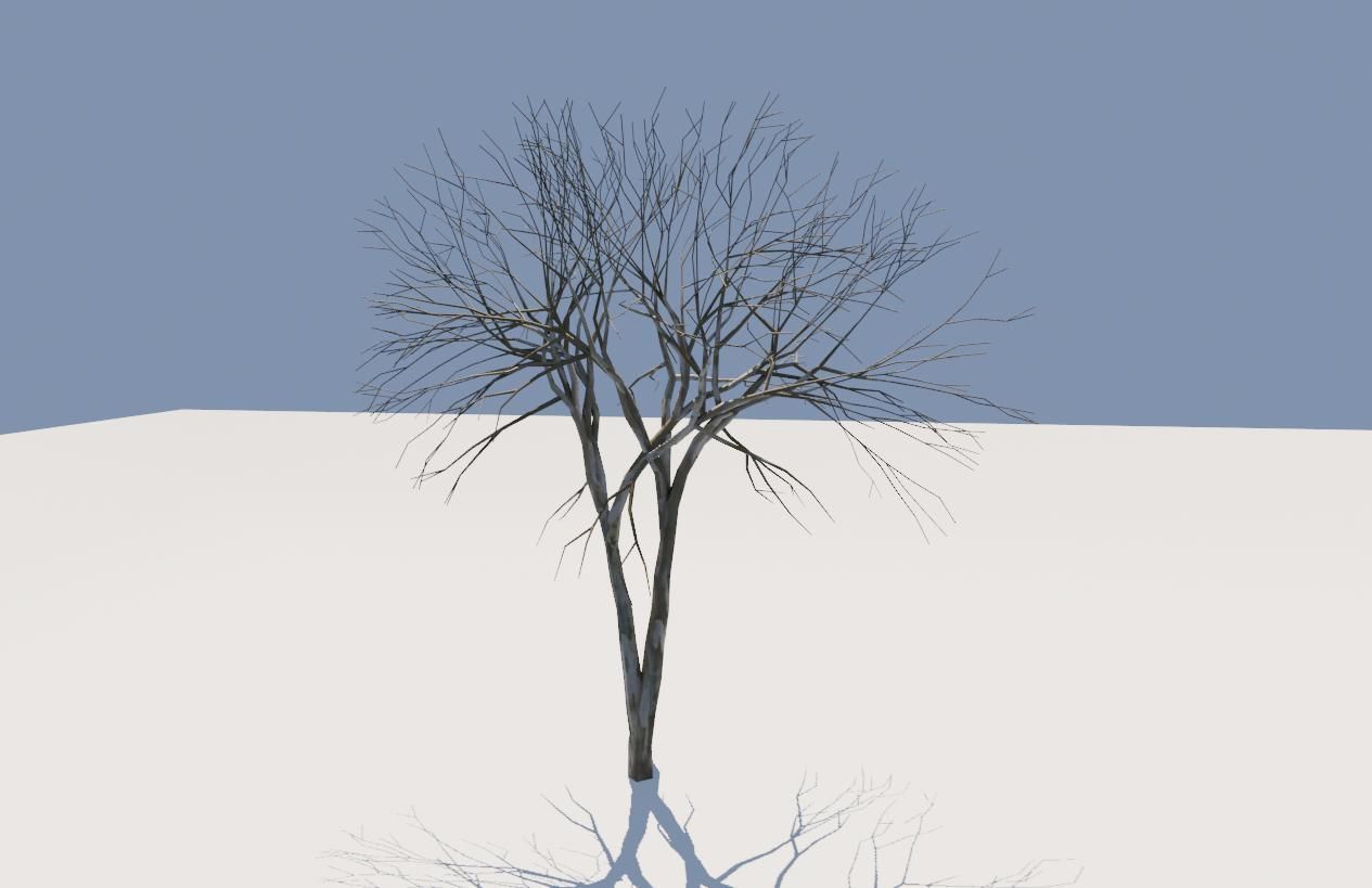 Thin Dry Tree - Arvore Seca Low-poly 3D model_6