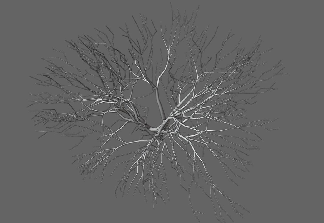 Thin Dry Tree - Arvore Seca Low-poly 3D model_14