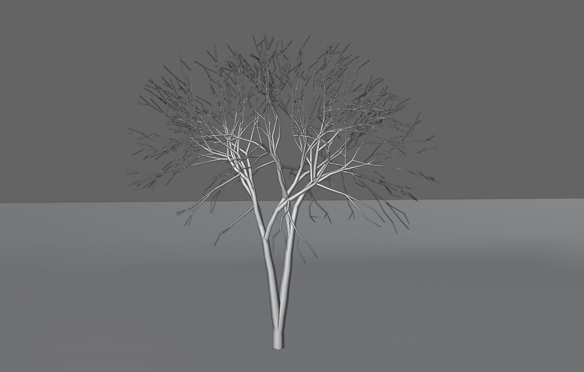 Thin Dry Tree - Arvore Seca Low-poly 3D model_17