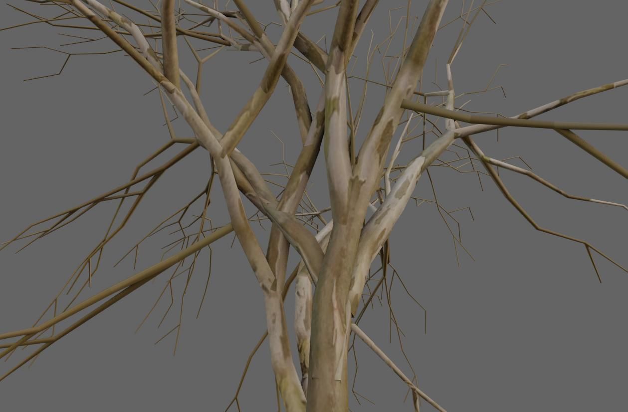 Thin Dry Tree - Arvore Seca Low-poly 3D model_3
