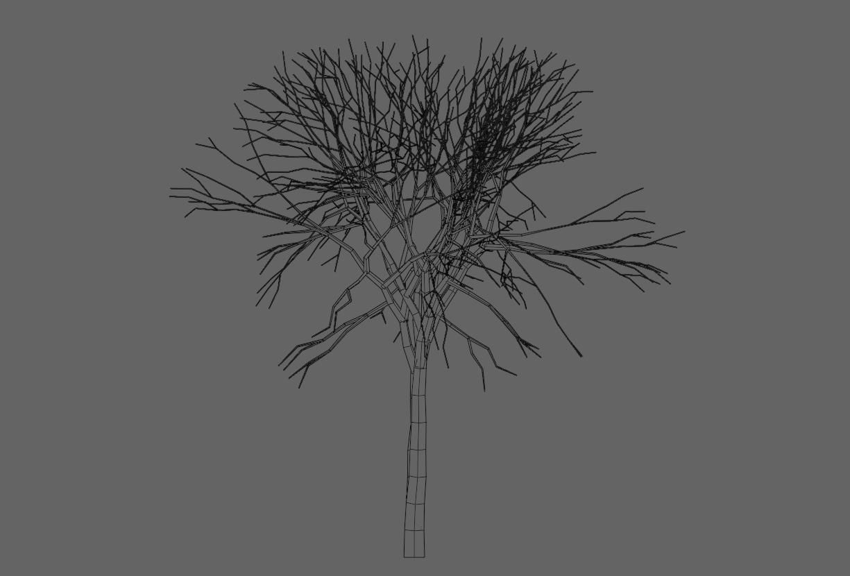 Thin Dry Tree - Arvore Seca Low-poly 3D model_19