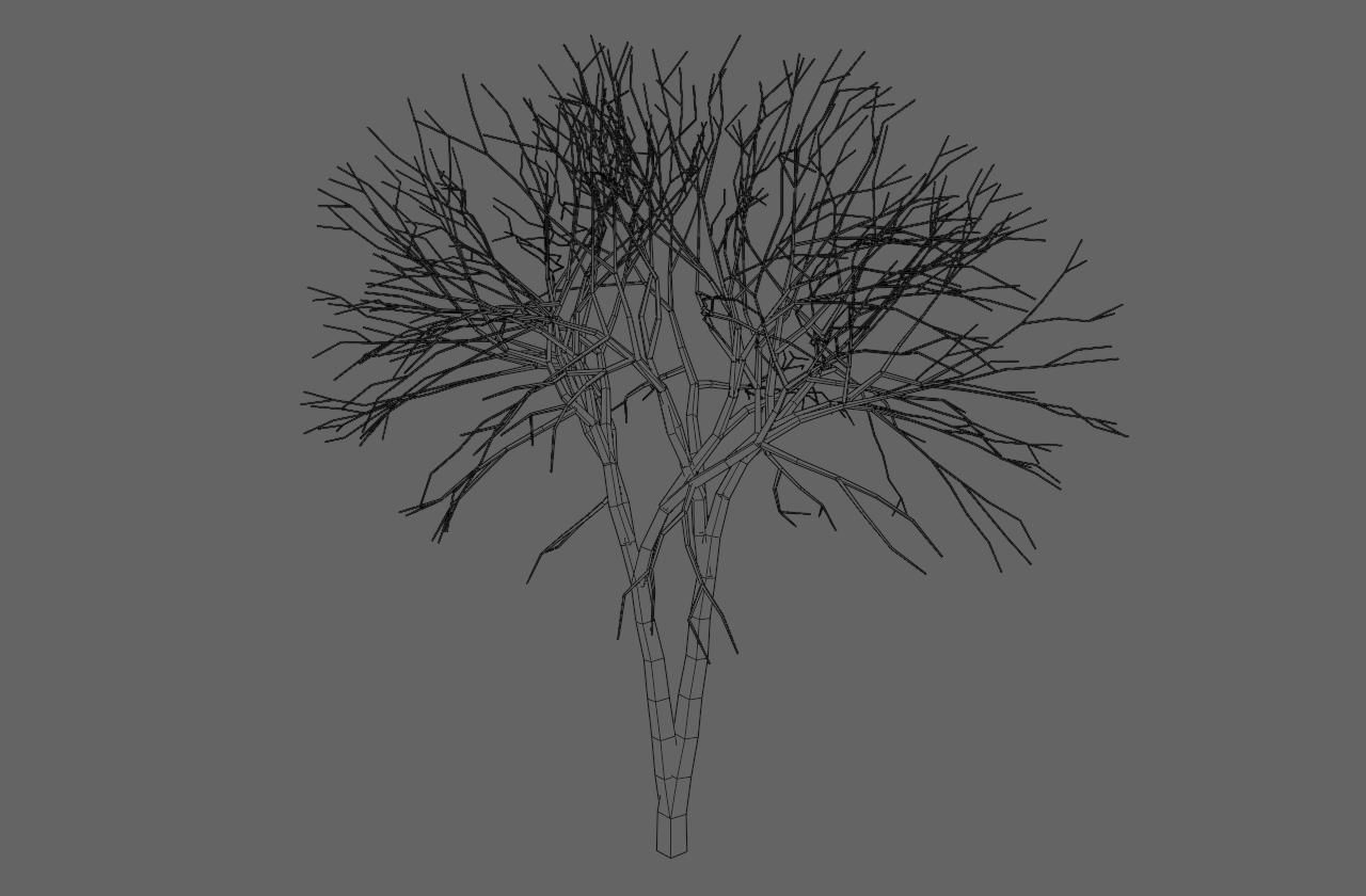 Thin Dry Tree - Arvore Seca Low-poly 3D model_18