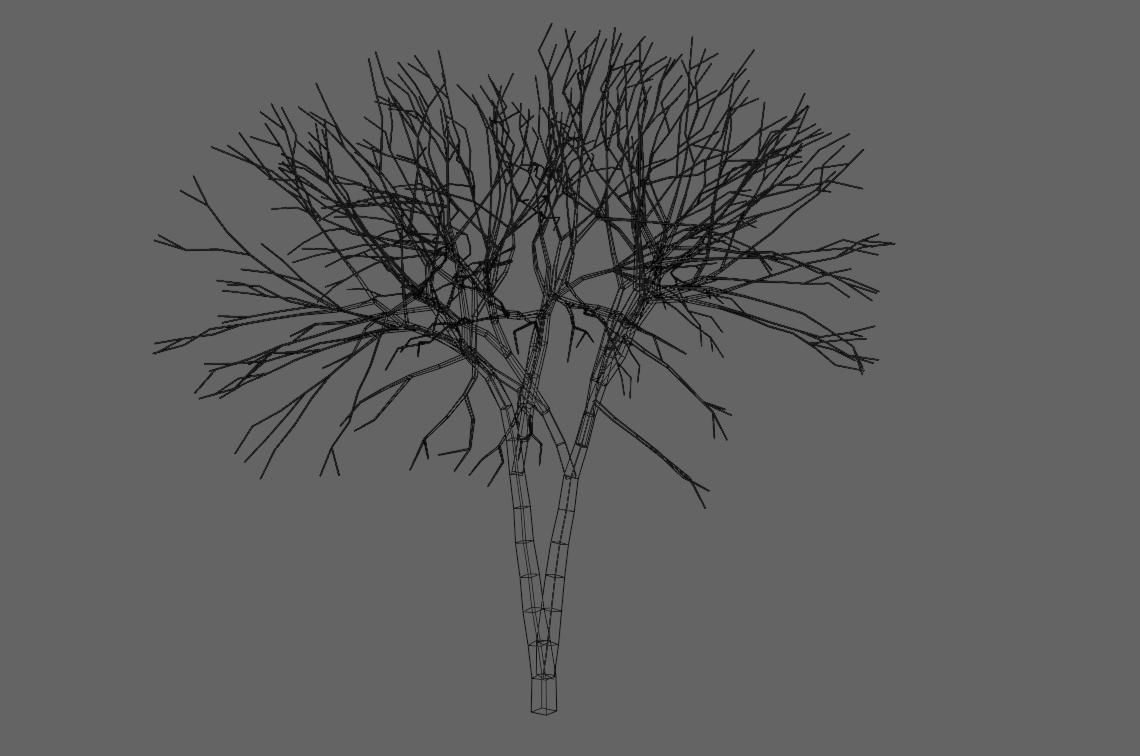 Thin Dry Tree - Arvore Seca Low-poly 3D model_21