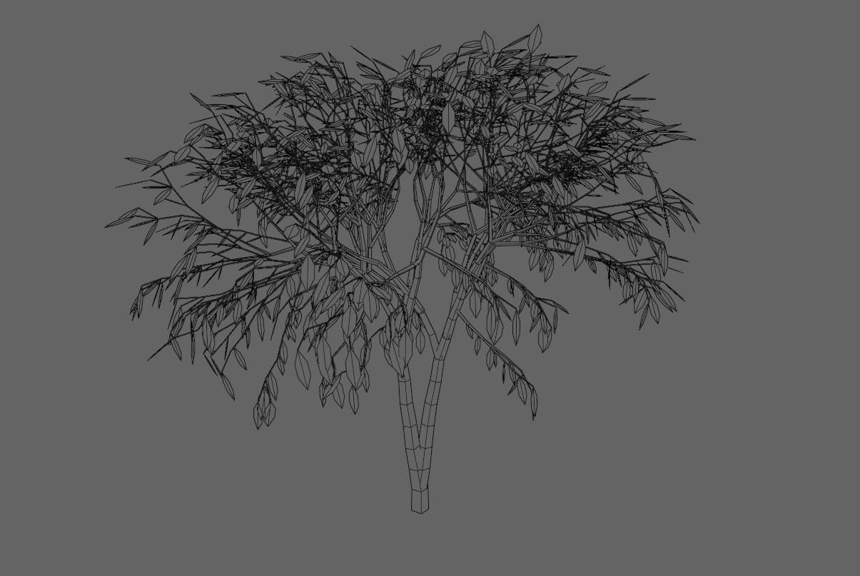 Thin Tree - Arvore fina Low-poly 3D model_23