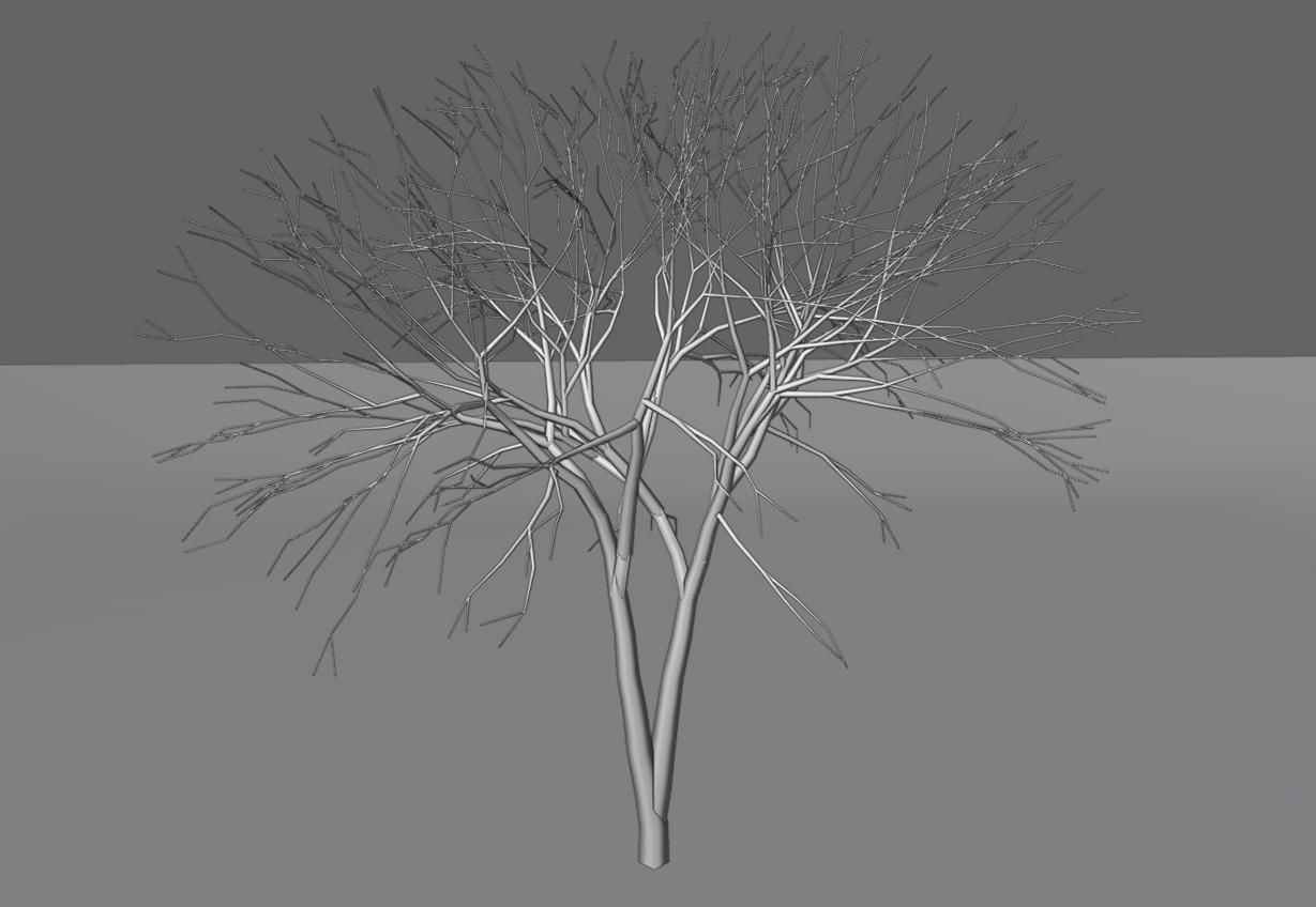 Thin Tree - Arvore fina Low-poly 3D model_18