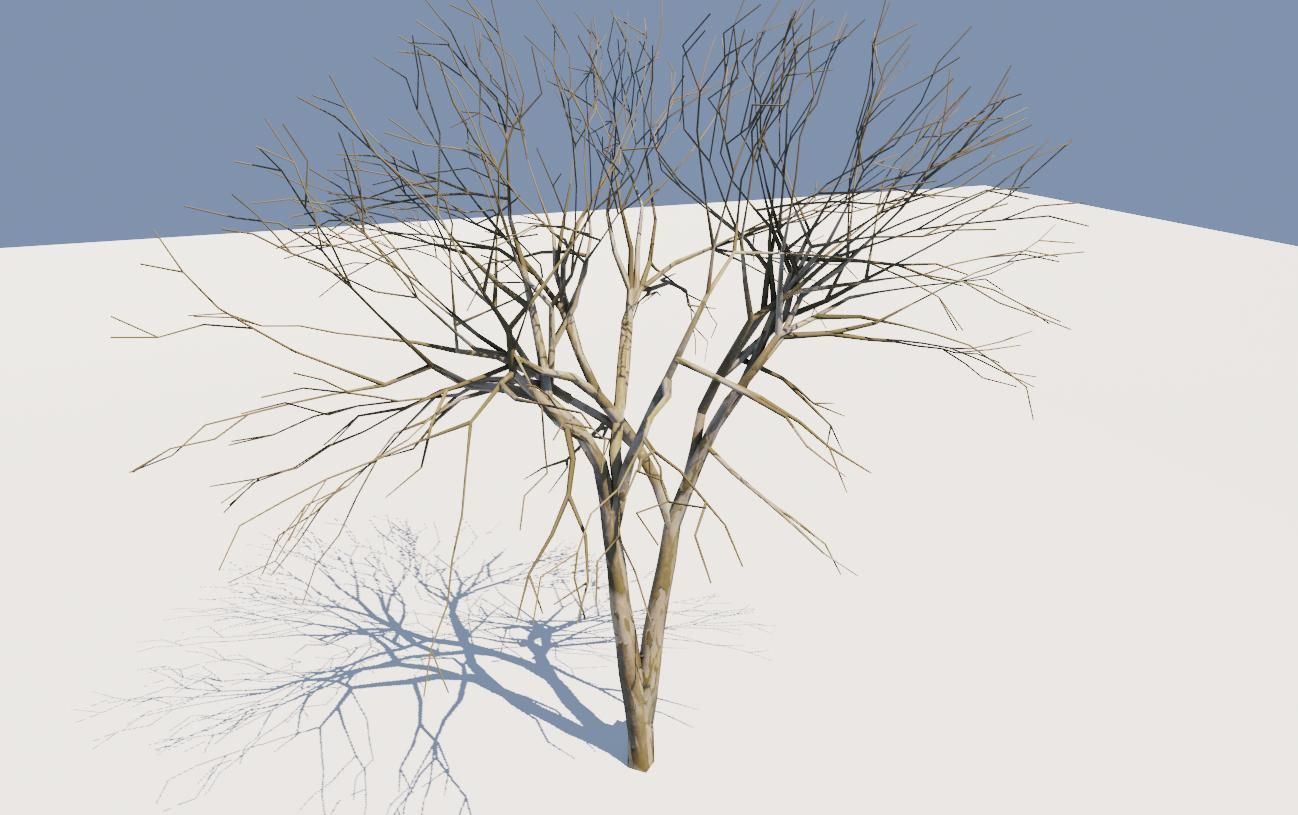 Thin Tree - Arvore fina Low-poly 3D model_16