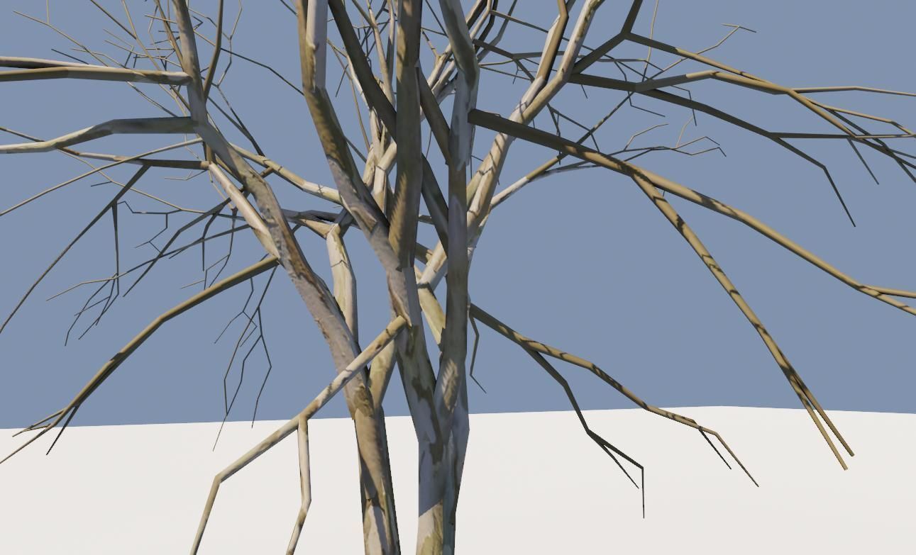 Thin Tree - Arvore fina Low-poly 3D model_4
