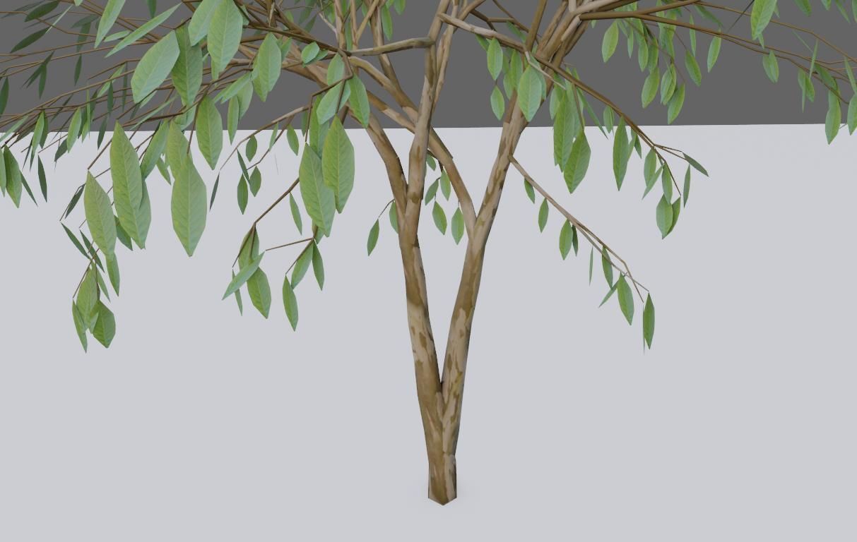 Thin Tree - Arvore fina Low-poly 3D model_12