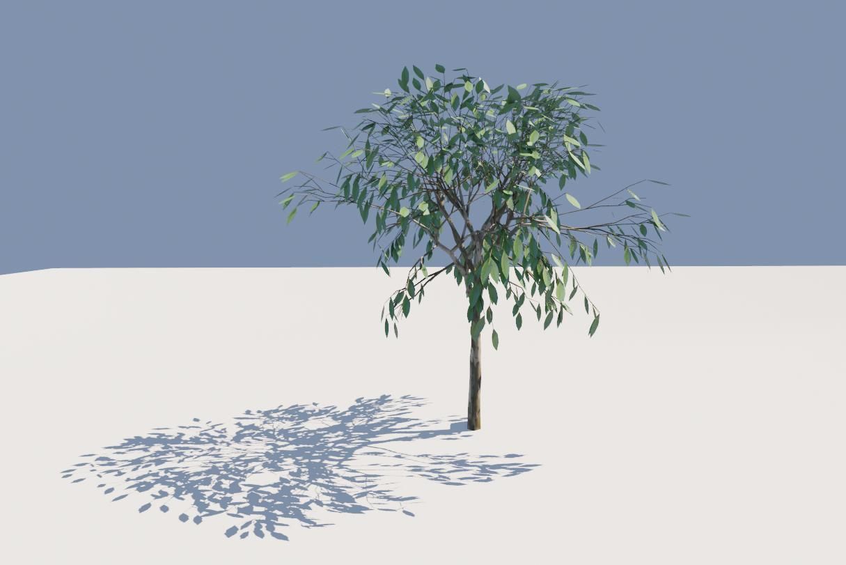 Thin Tree - Arvore fina Low-poly 3D model_6