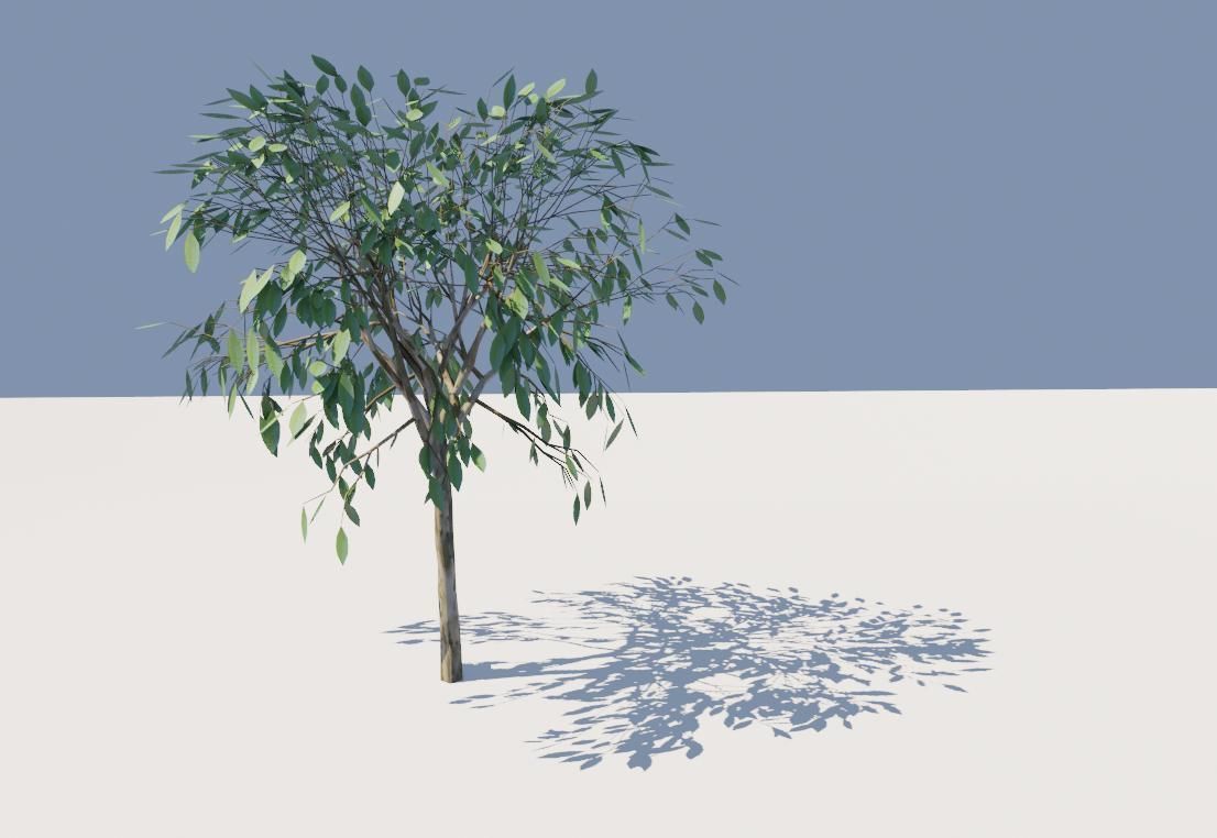 Thin Tree - Arvore fina Low-poly 3D model_8