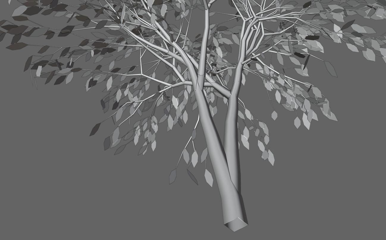 Thin Tree - Arvore fina Low-poly 3D model_21