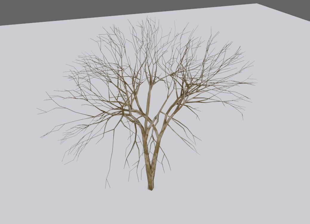 Thin Tree - Arvore fina Low-poly 3D model_17