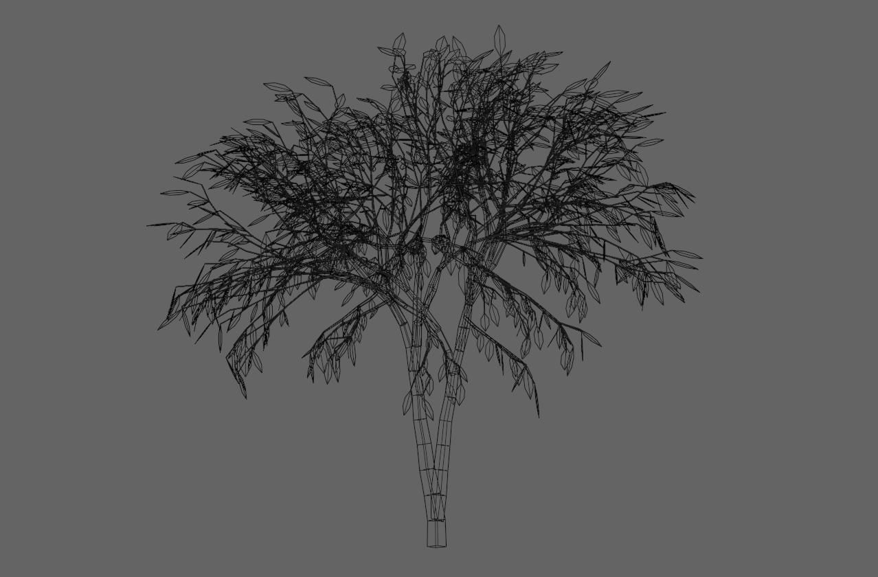Thin Tree - Arvore fina Low-poly 3D model_24