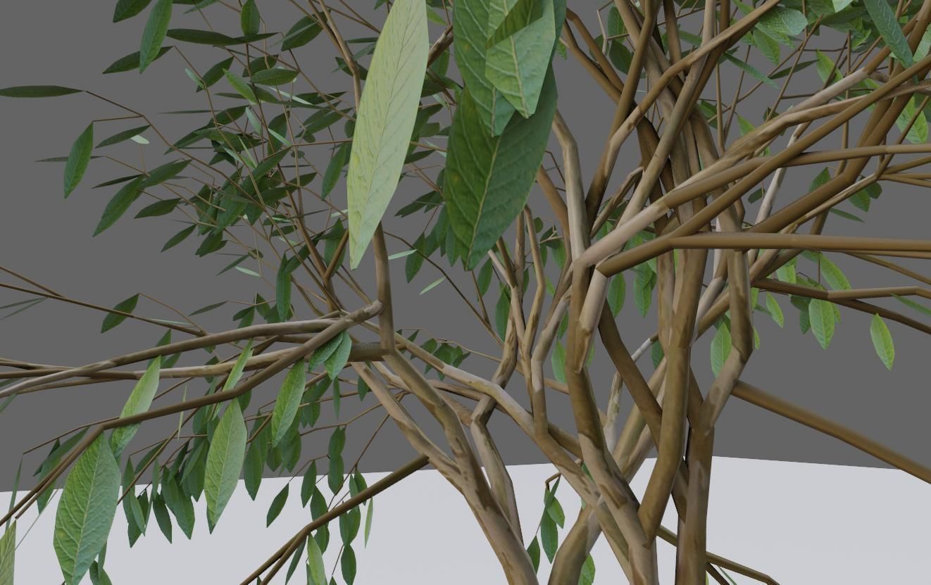 Thin Tree - Arvore fina Low-poly 3D model_3