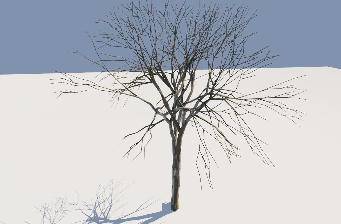 Thin Tree - Arvore fina Low-poly 3D model_5