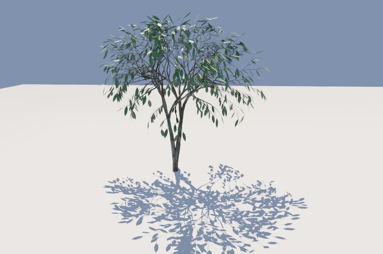 Thin Tree - Arvore fina Low-poly 3D model_7