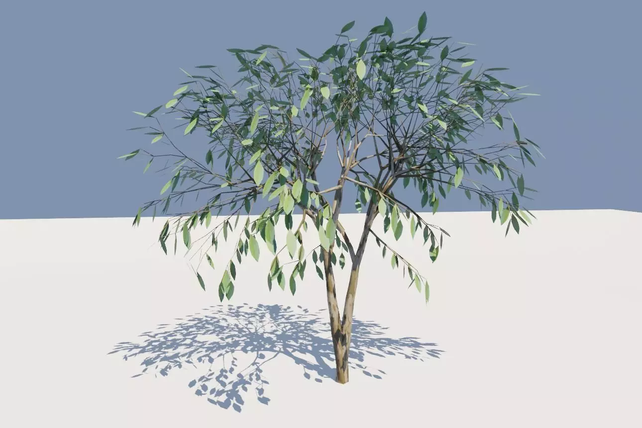 Thin Tree - Arvore fina Low-poly 3D model_0