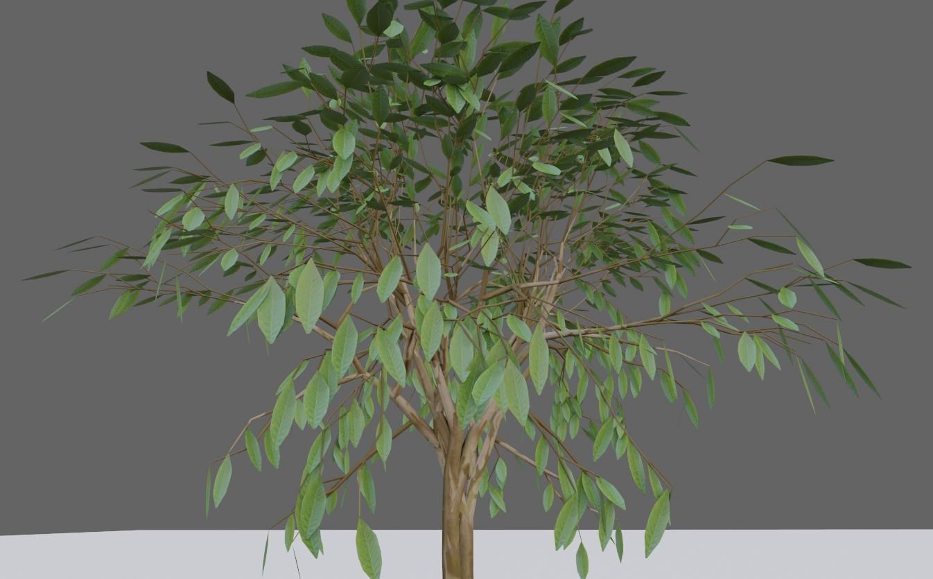 Thin Tree - Arvore fina Low-poly 3D model_14