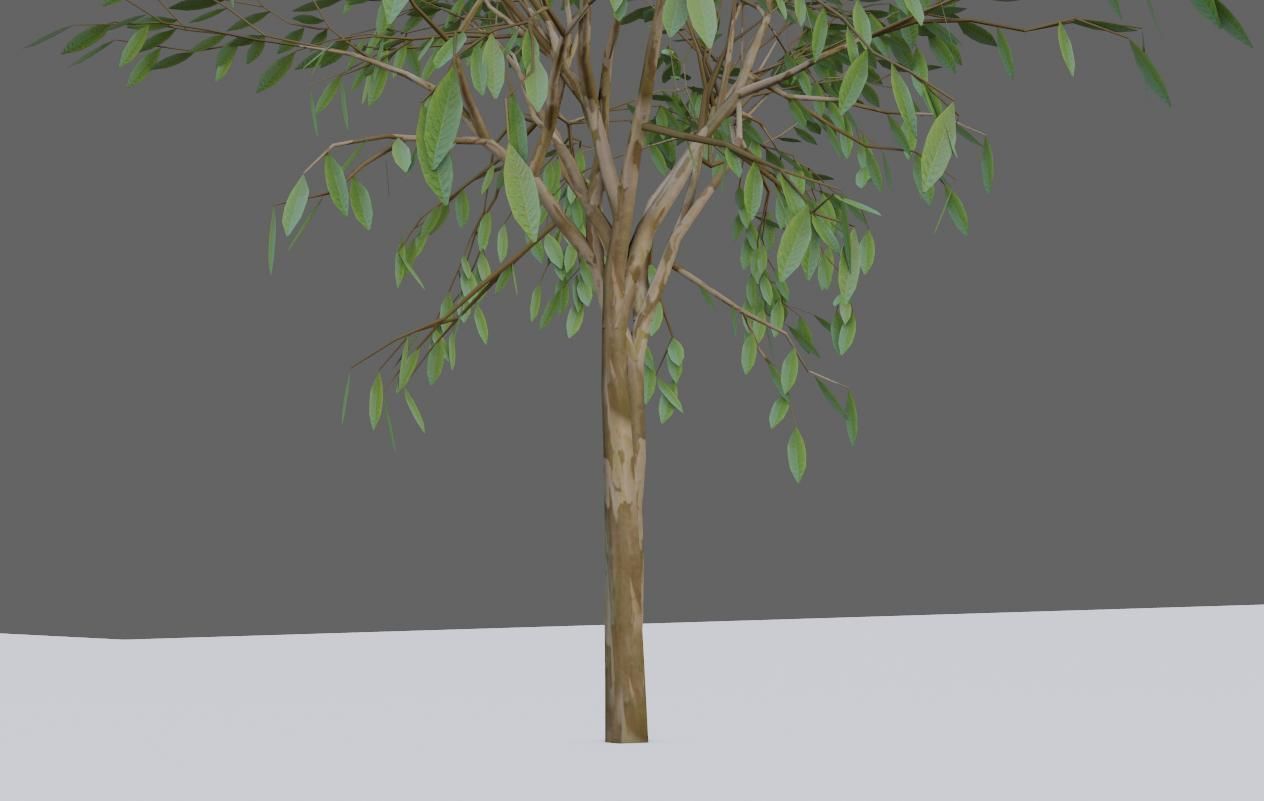 Thin Tree - Arvore fina Low-poly 3D model_13