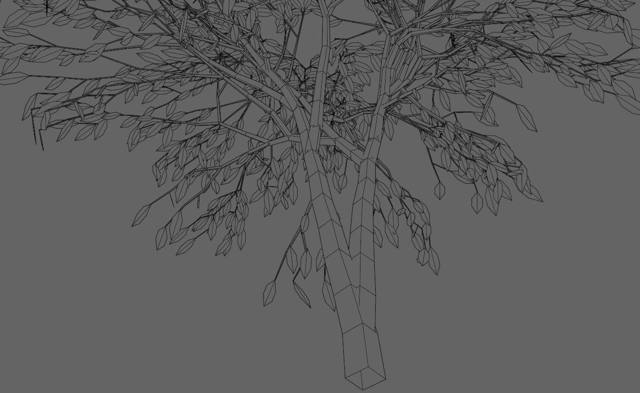 Thin Tree - Arvore fina Low-poly 3D model_22