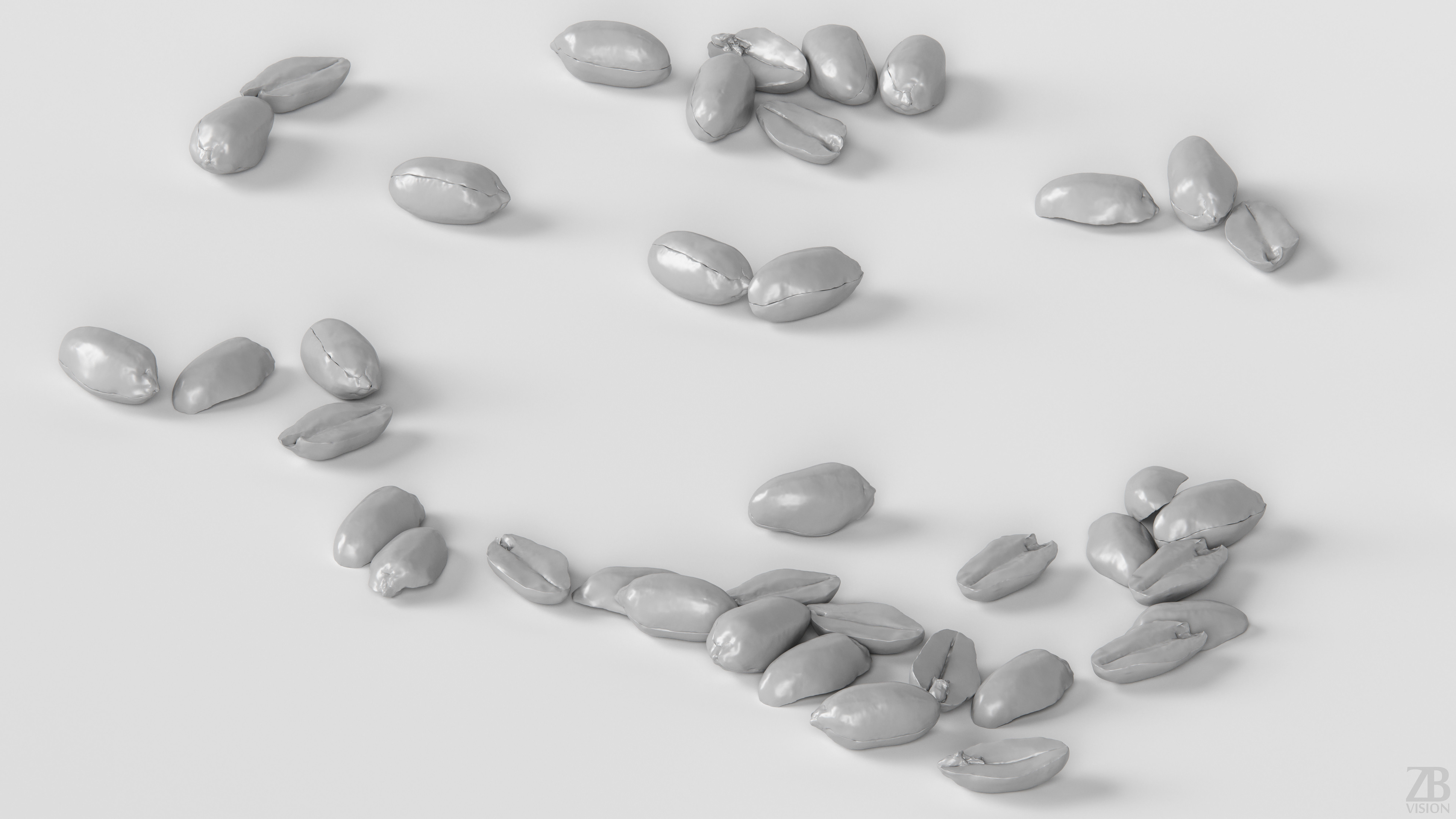 Peanut 3D model_3