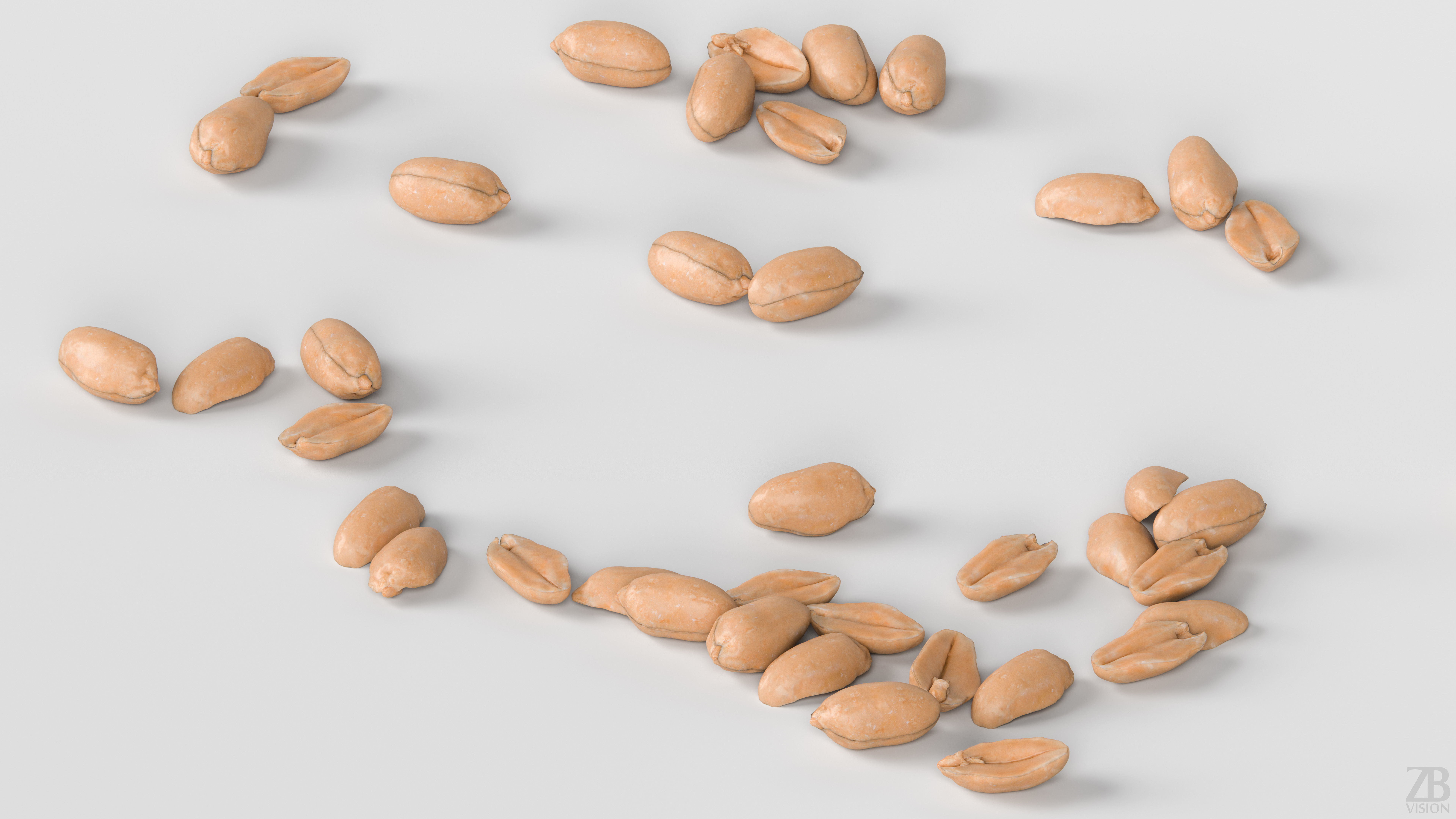 Peanut 3D model_2