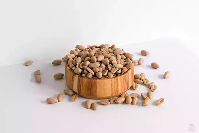 Peanut 3D model