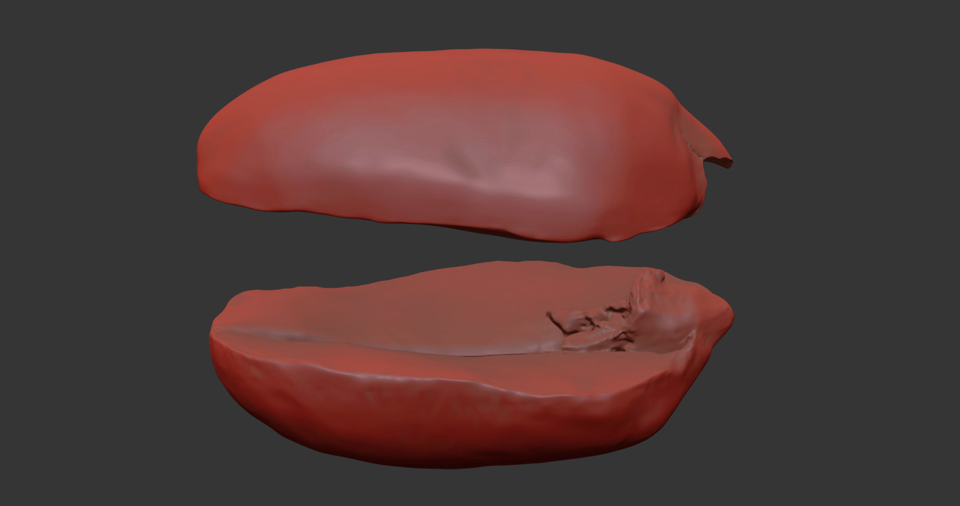 Peanut 3D model_7