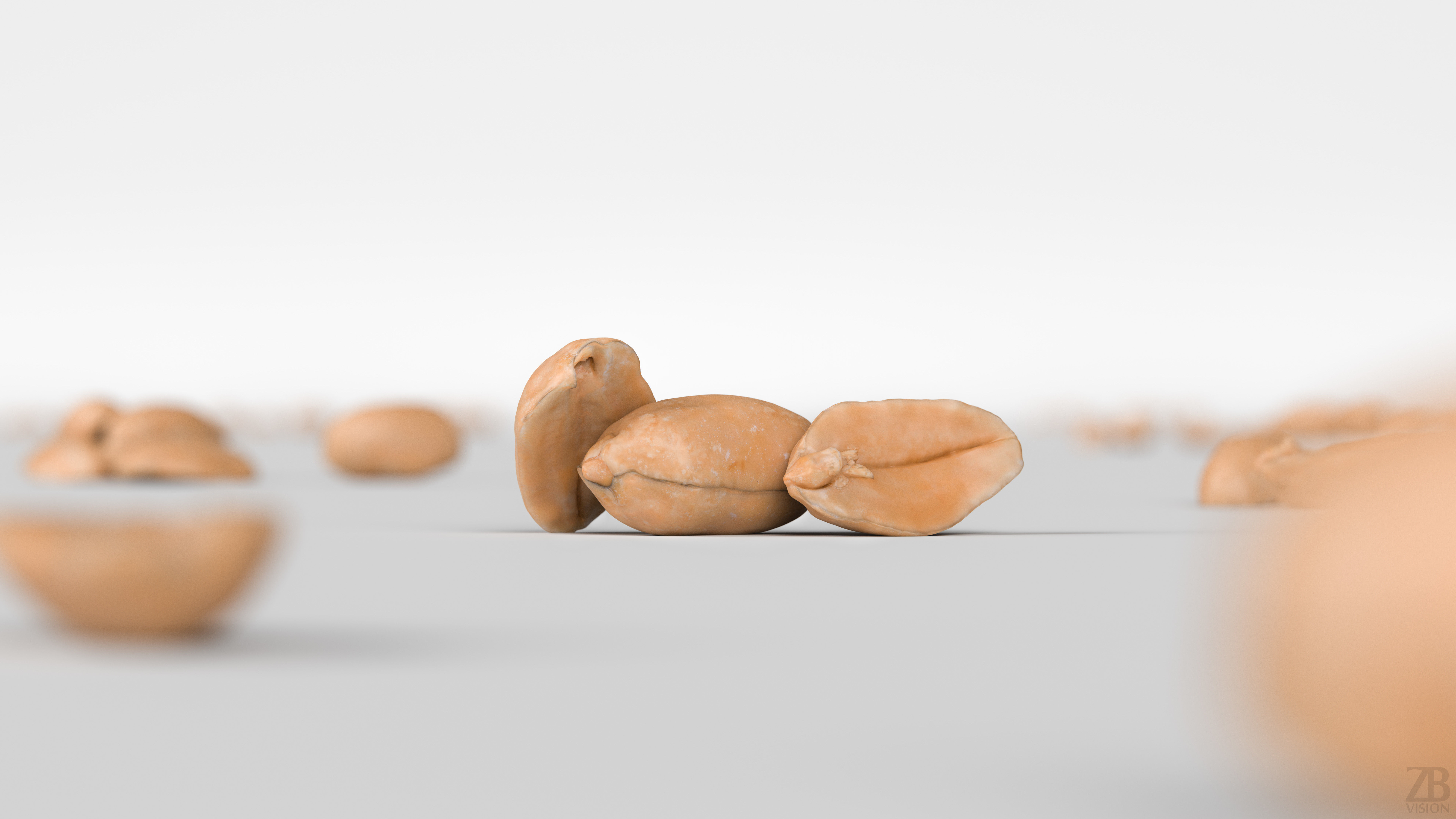 Peanut 3D model_1