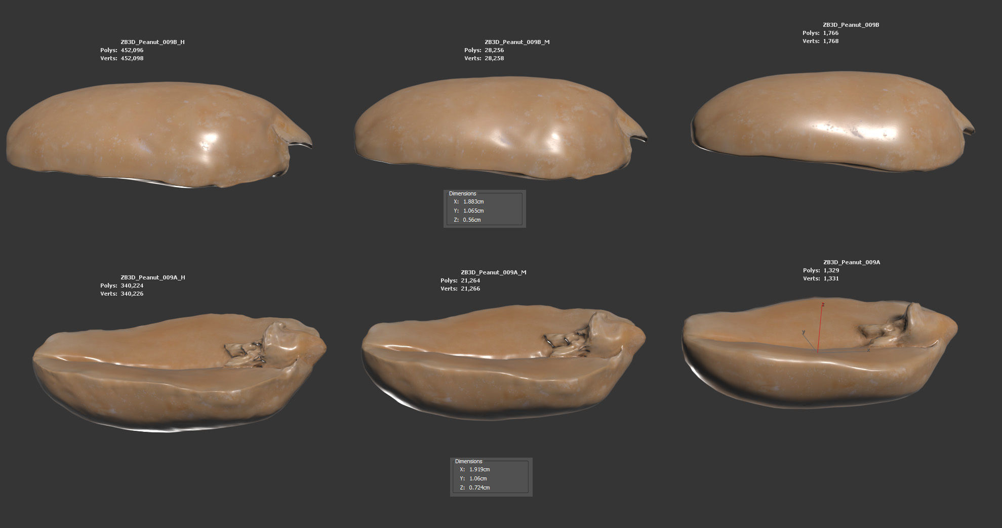 Peanut 3D model_5