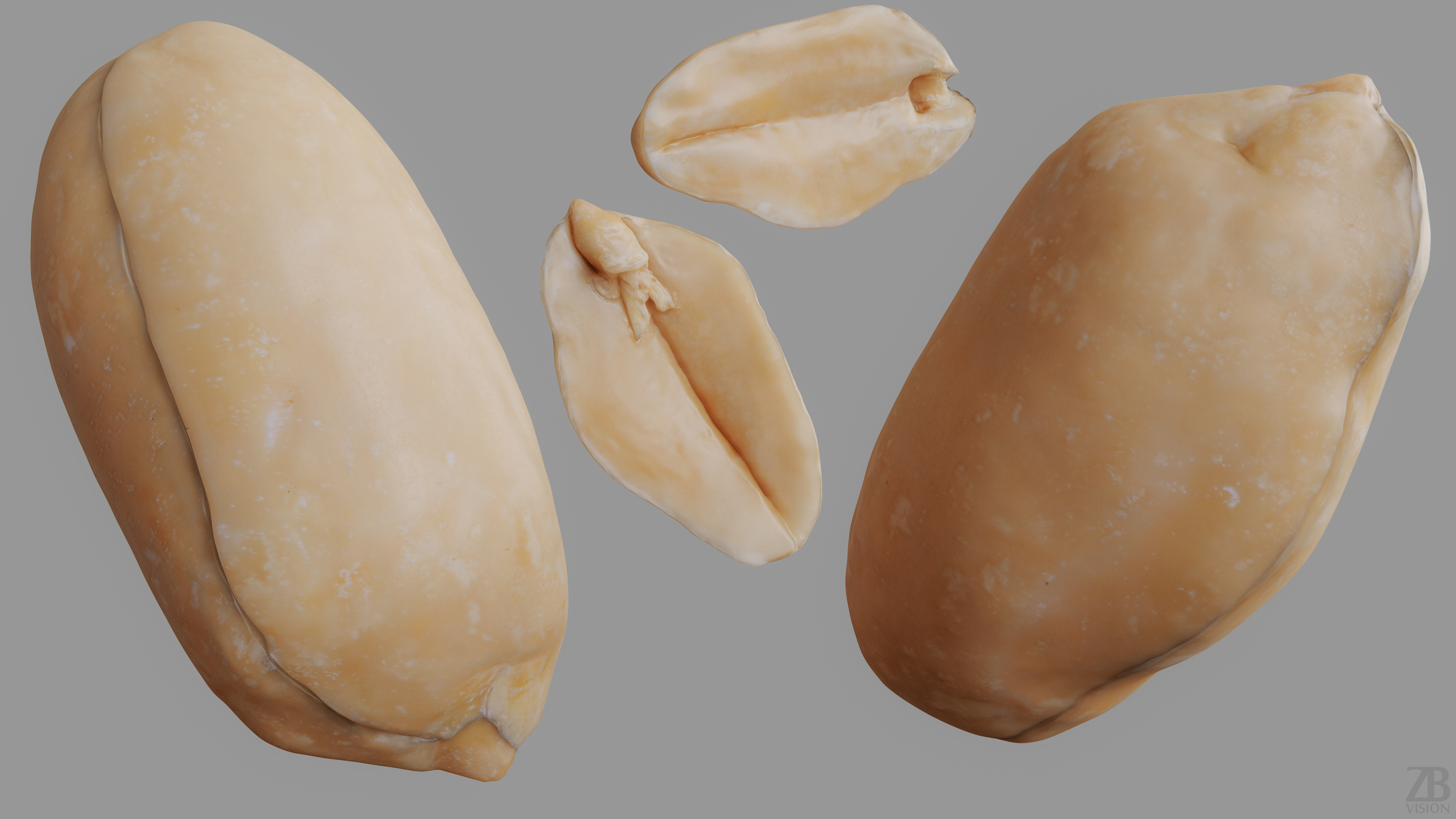 Peanut 3D model_9