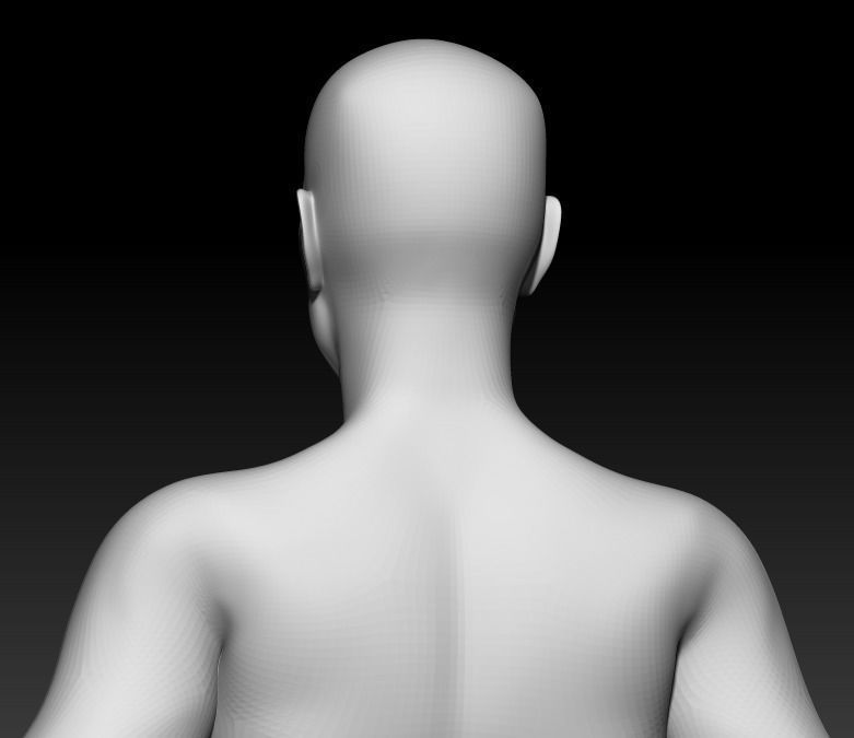 Male Base Mesh 1 3D model_4