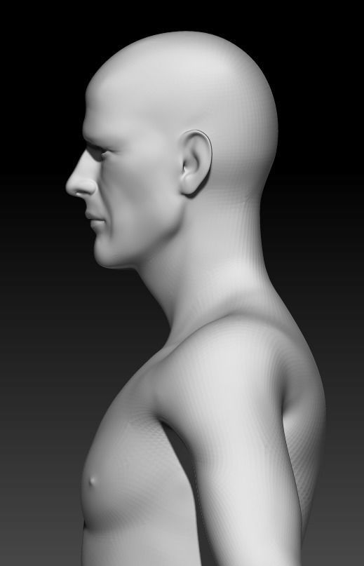 Male Base Mesh 1 3D model_3