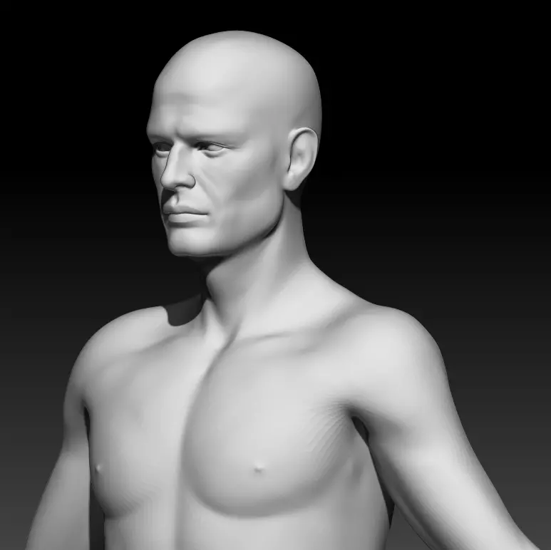Male Base Mesh 2 3D model_0